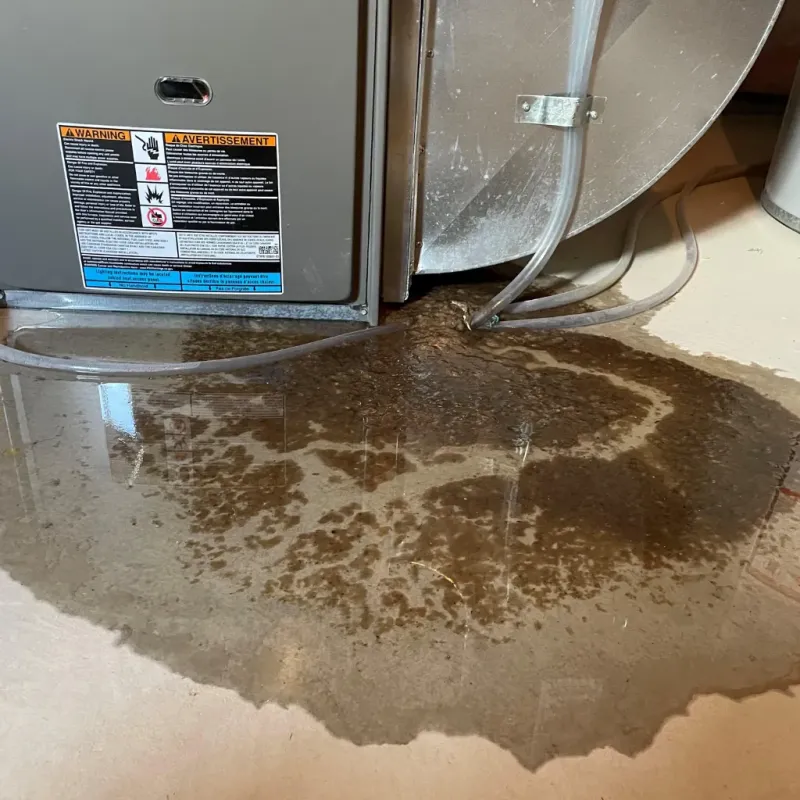 Appliance Leak Cleanup in Morgandale, OH